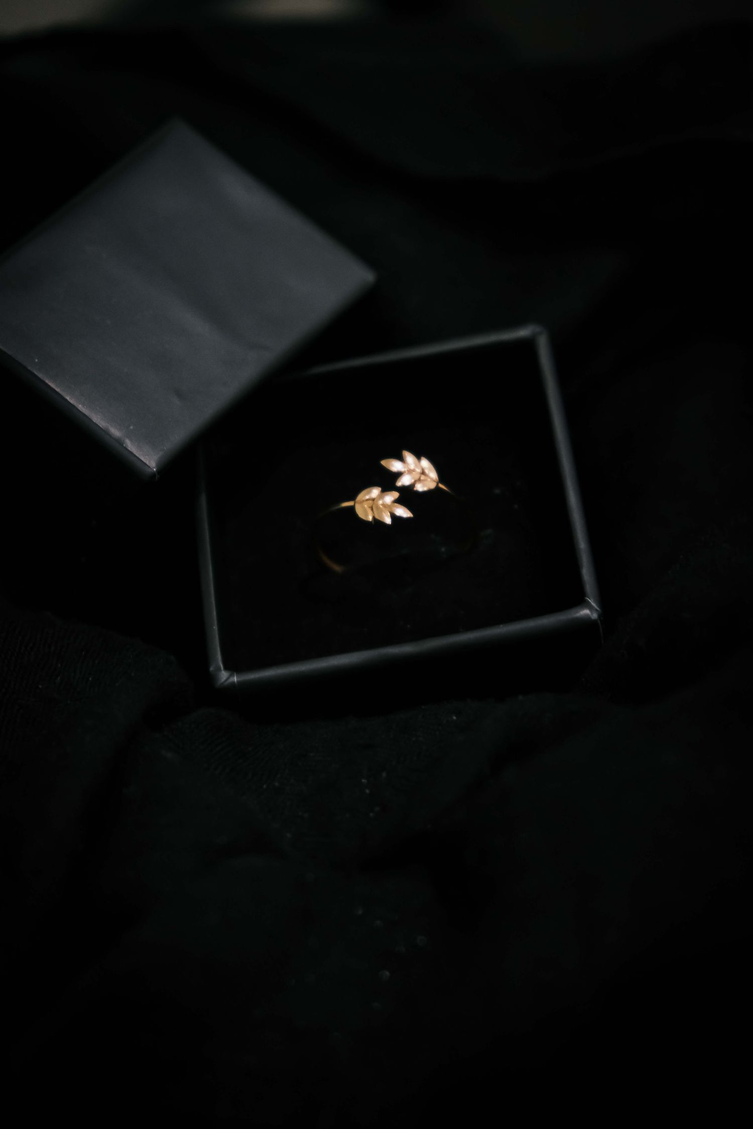 Deux feuilles d'or appariées dans leur écrin noir, macro sur fond sombre